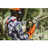 Pila ECHO CS-2511WES/30 9