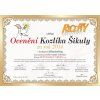 Křovinořez benzínový ECHO SRM-420TES/U  Prodloužená záruka + Třízubý nůž křovinořezu ECHO 255mm