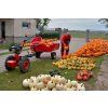 Malotraktor VARI IV GLOBAL + ANV-380 (motor VARI XP-200A)